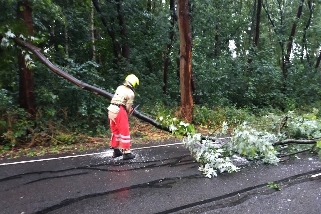 Omgewaaide boom verspert weg