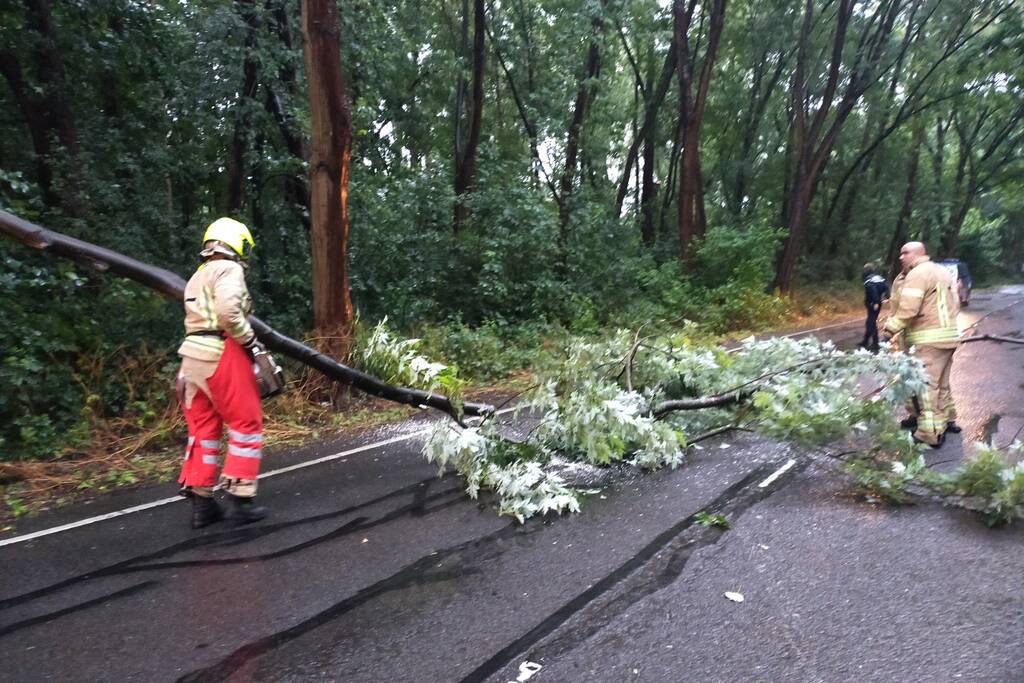 Omgewaaide boom verspert weg