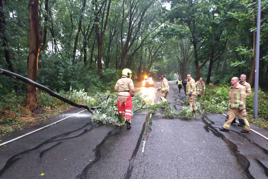 Omgewaaide boom verspert weg