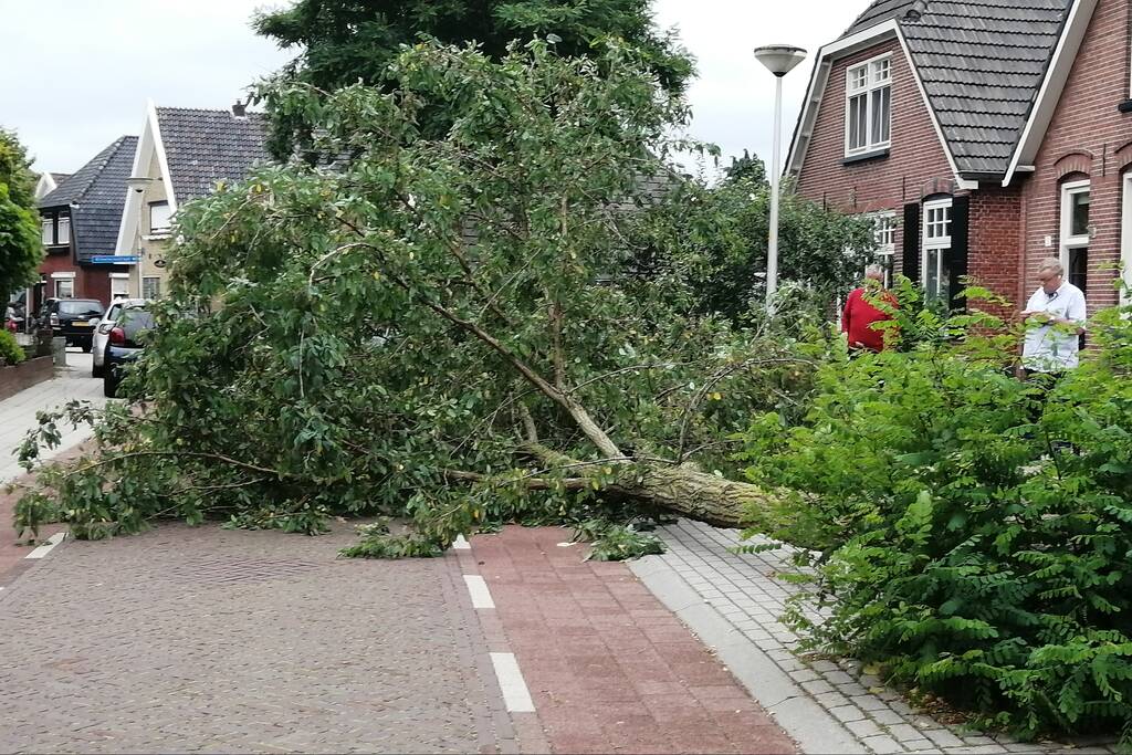 Weg verspert door omgewaaide boom