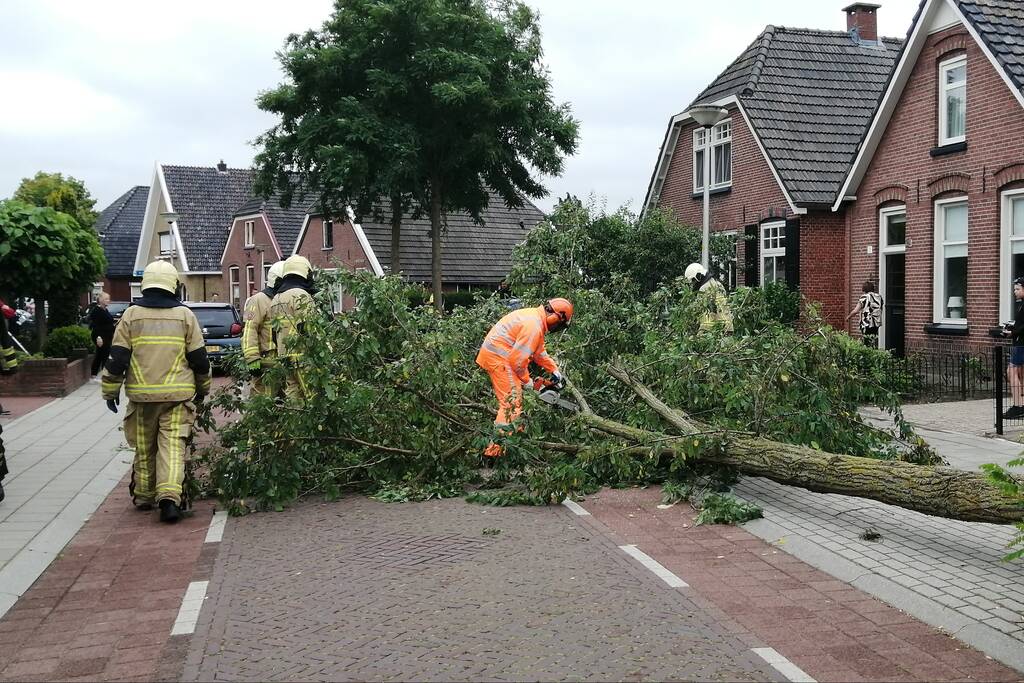Weg verspert door omgewaaide boom