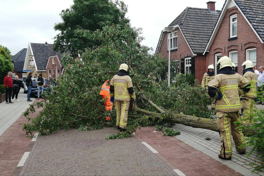 Weg verspert door omgewaaide boom