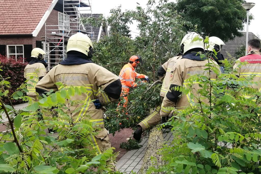 Weg verspert door omgewaaide boom