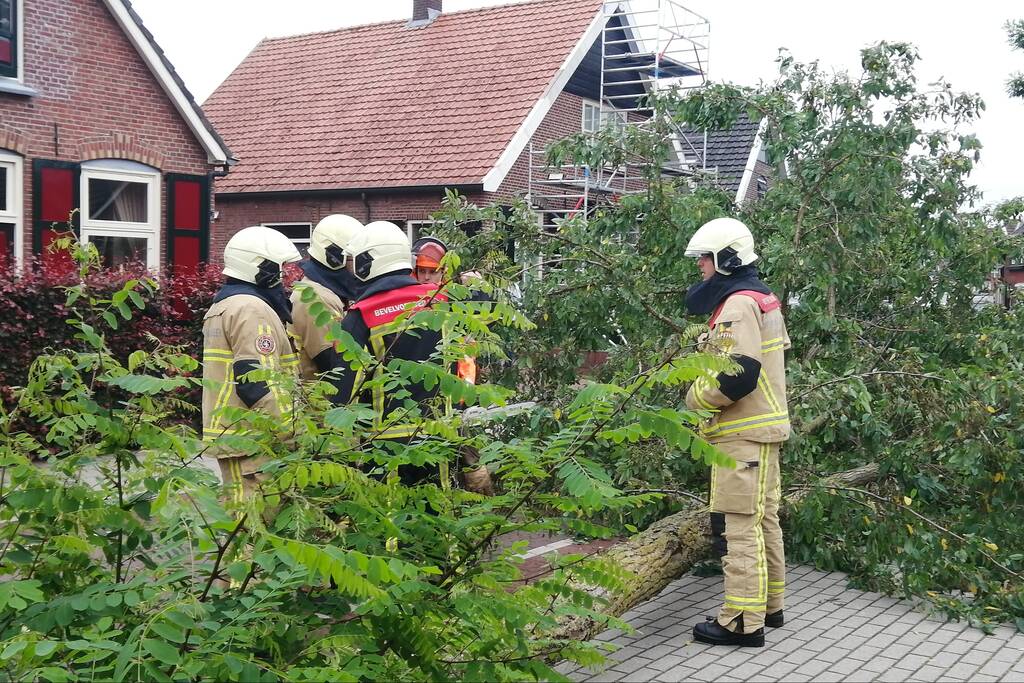 Weg verspert door omgewaaide boom