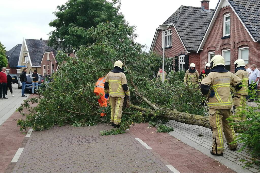 Weg verspert door omgewaaide boom