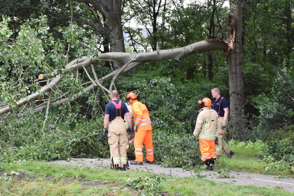Grote tak breekt van boom en valt op voetpad