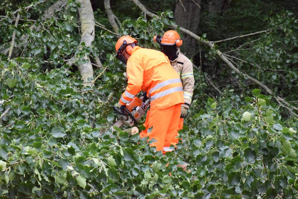 Grote tak breekt van boom en valt op voetpad