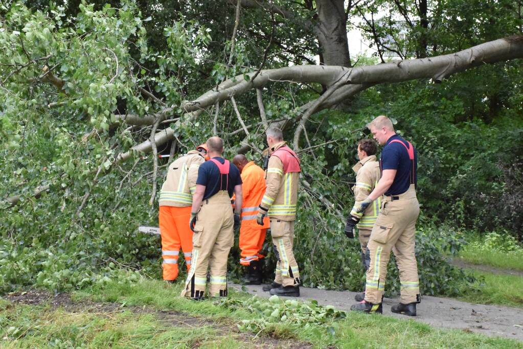 Grote tak breekt van boom en valt op voetpad