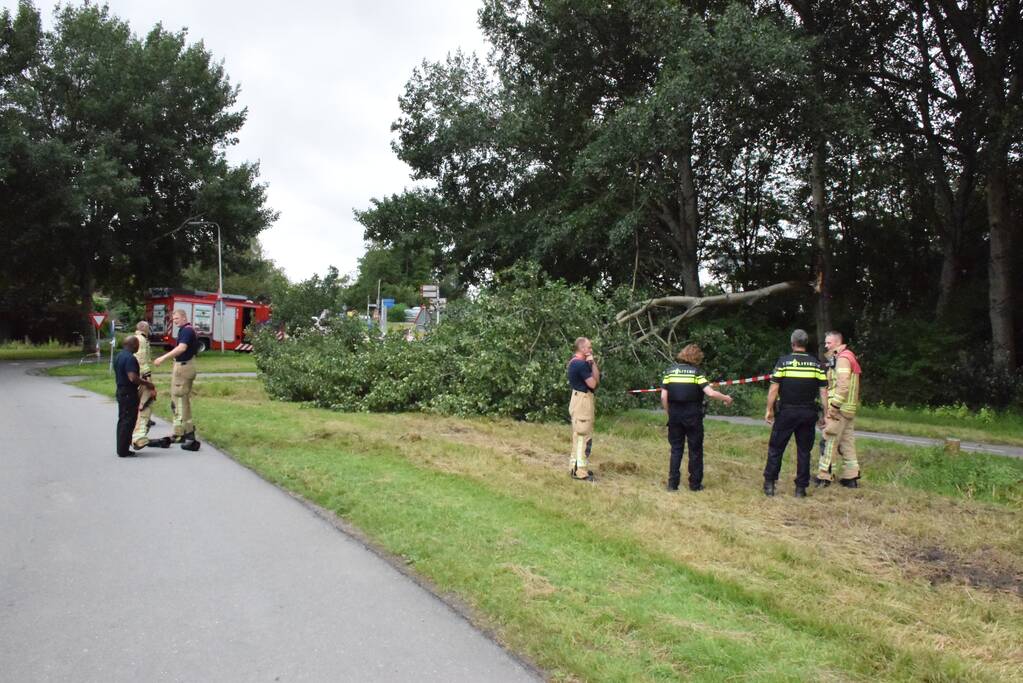 Grote tak breekt van boom en valt op voetpad