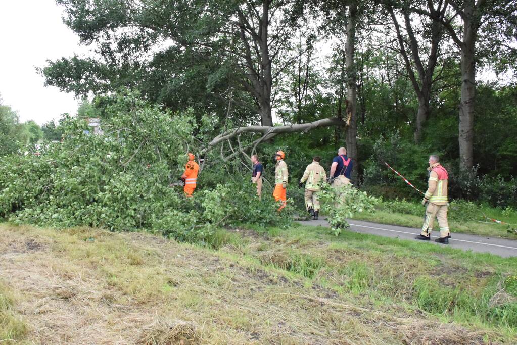 Grote tak breekt van boom en valt op voetpad