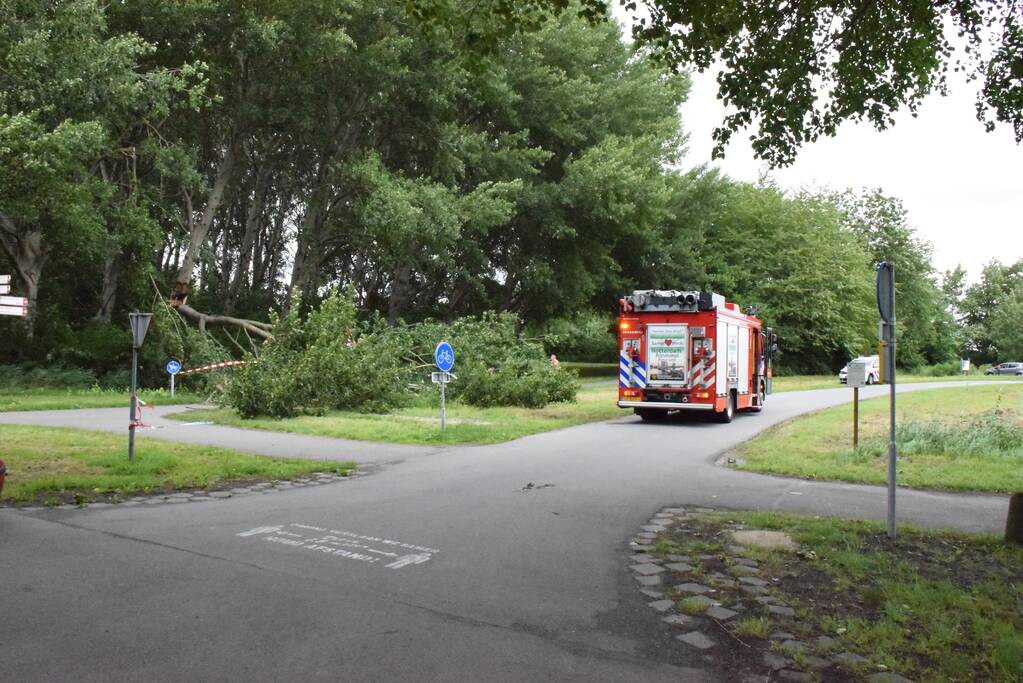 Grote tak breekt van boom en valt op voetpad