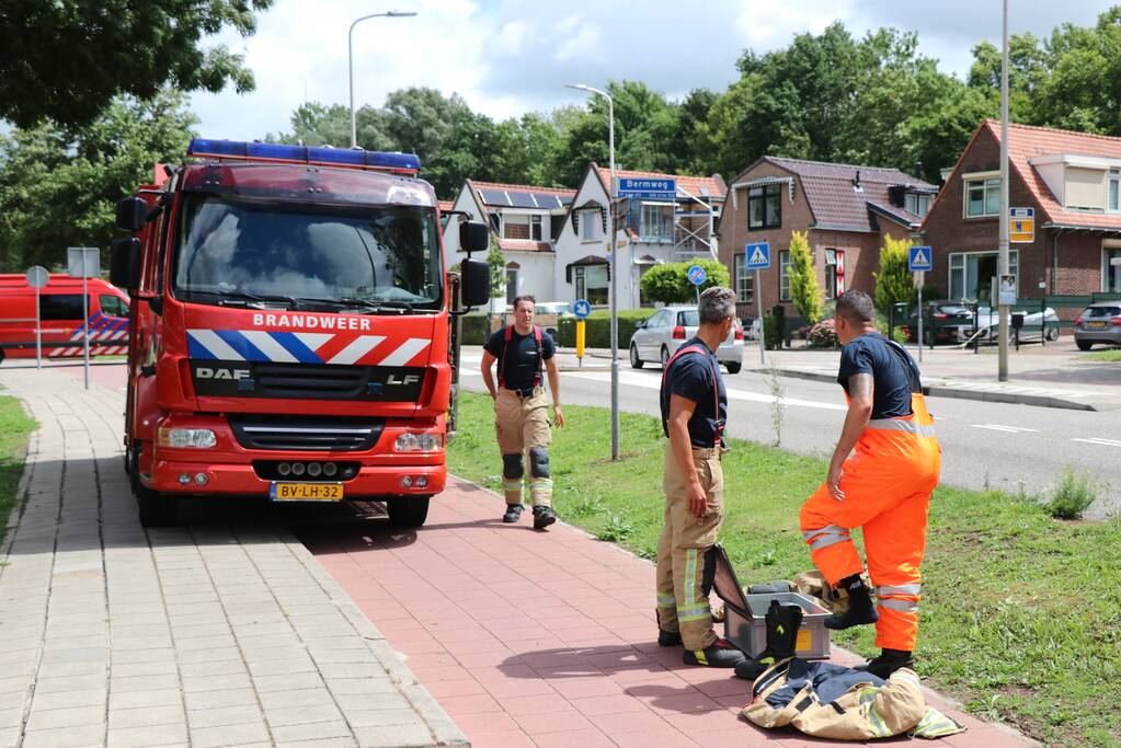Boom waait om door harde wind
