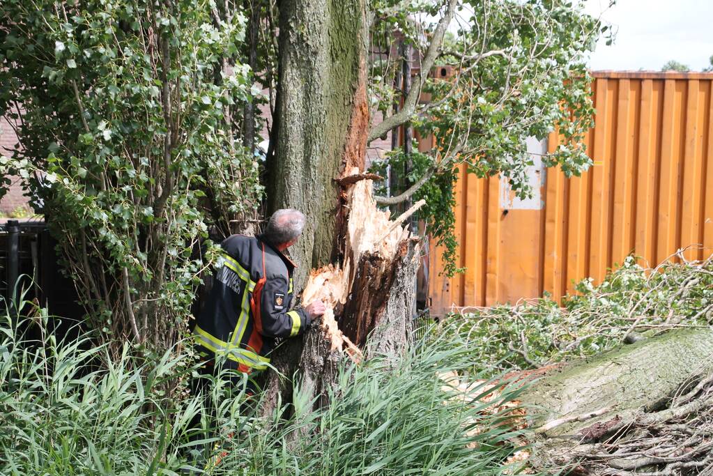 Grote boom valt op container
