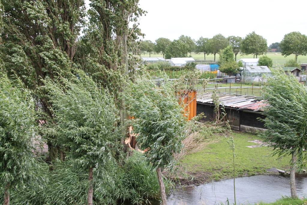 Grote boom valt op container