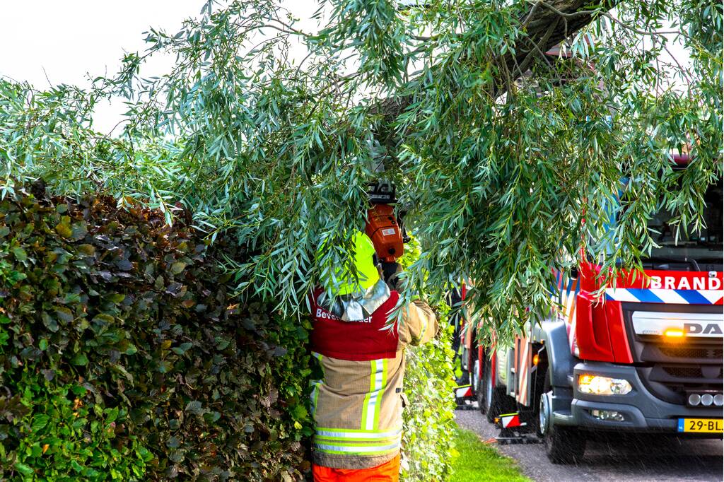 Afgebroken tak verpletterd verkeersbord