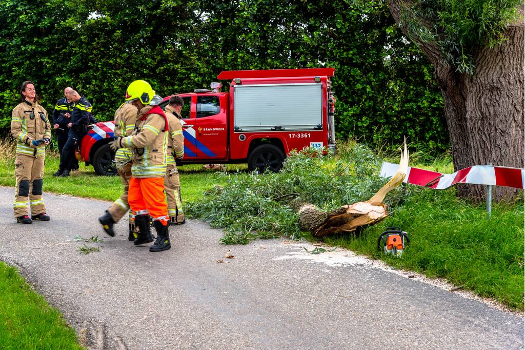 Afgebroken tak verpletterd verkeersbord