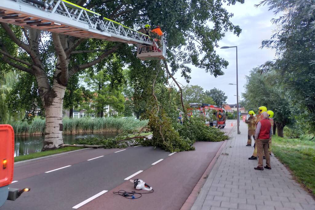Brandweer verwijderd tak op doorgaande weg