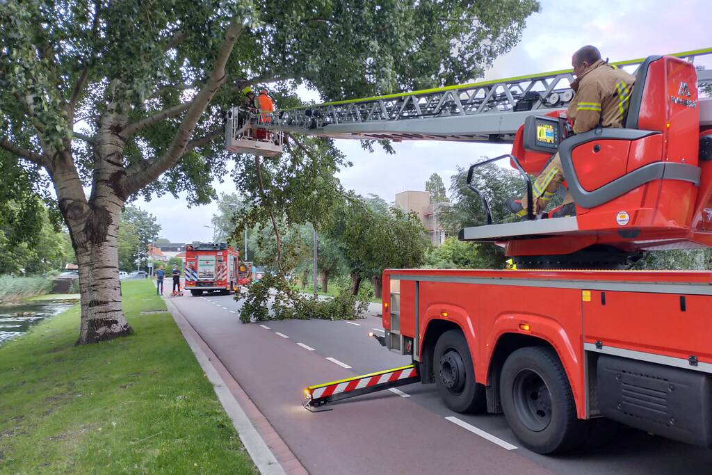 Brandweer verwijderd tak op doorgaande weg