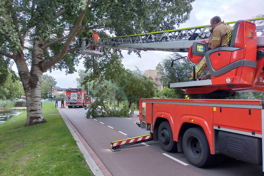 Brandweer verwijderd tak op doorgaande weg