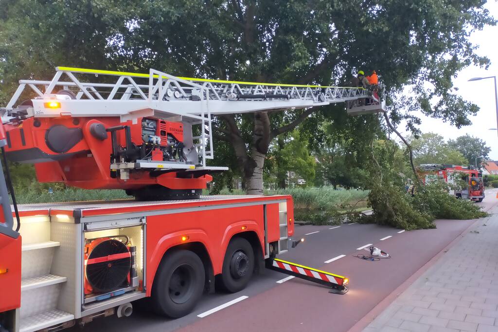 Brandweer verwijderd tak op doorgaande weg