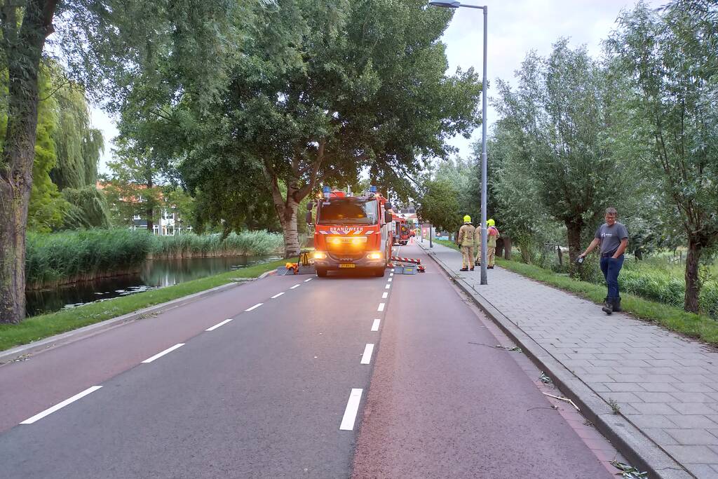 Brandweer verwijderd tak op doorgaande weg