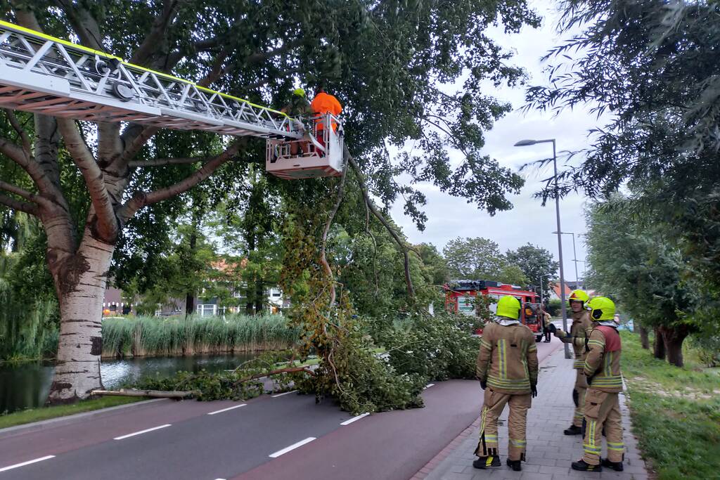 Brandweer verwijderd tak op doorgaande weg