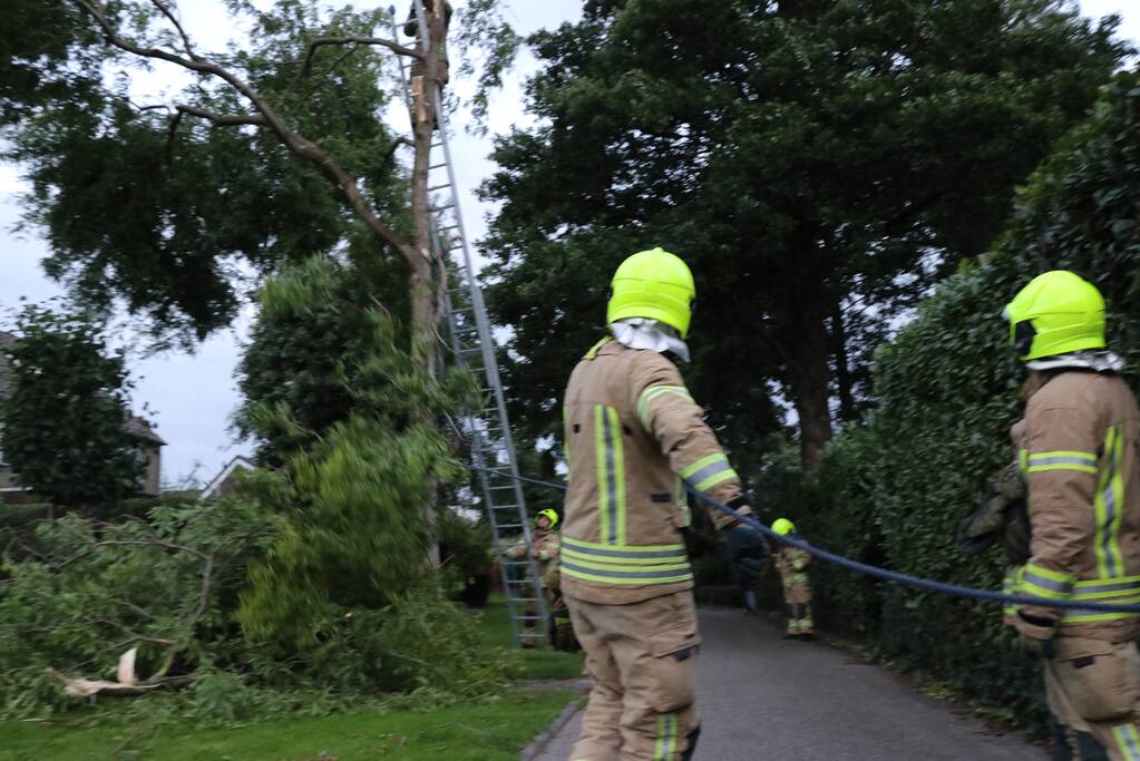 Meerdere gevaarlijk hangende takken verwijderd