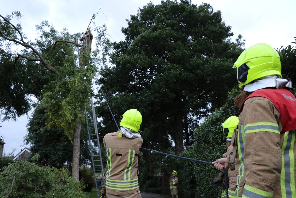 Meerdere gevaarlijk hangende takken verwijderd