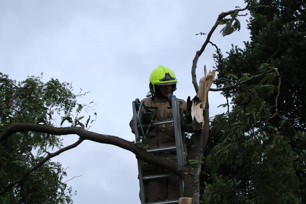 Meerdere gevaarlijk hangende takken verwijderd