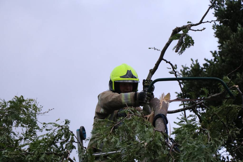 Meerdere gevaarlijk hangende takken verwijderd