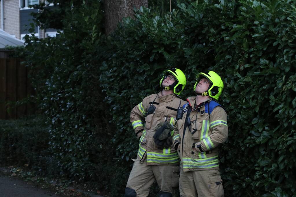 Meerdere gevaarlijk hangende takken verwijderd