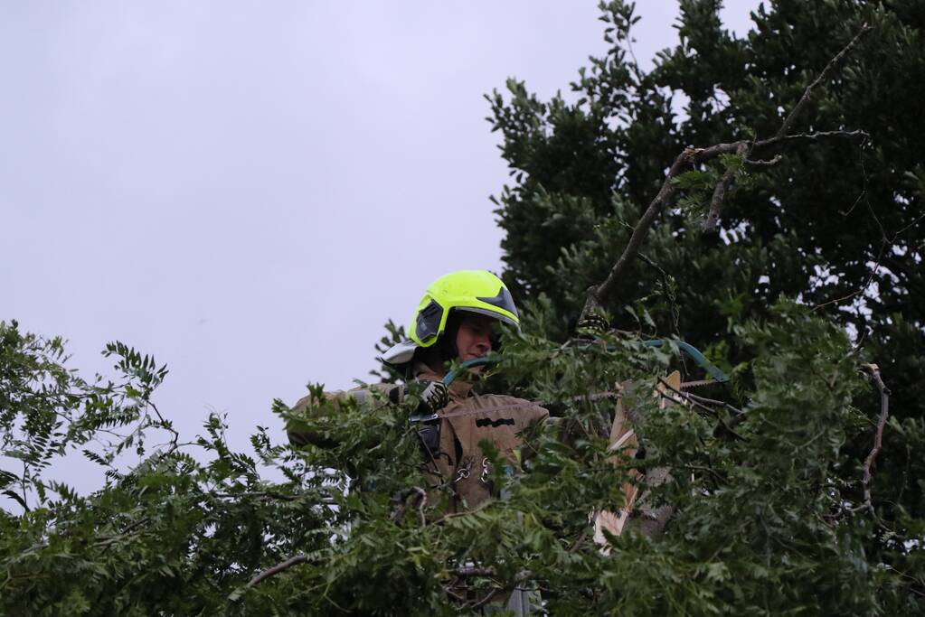 Meerdere gevaarlijk hangende takken verwijderd