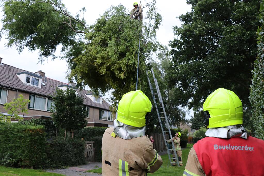 Meerdere gevaarlijk hangende takken verwijderd