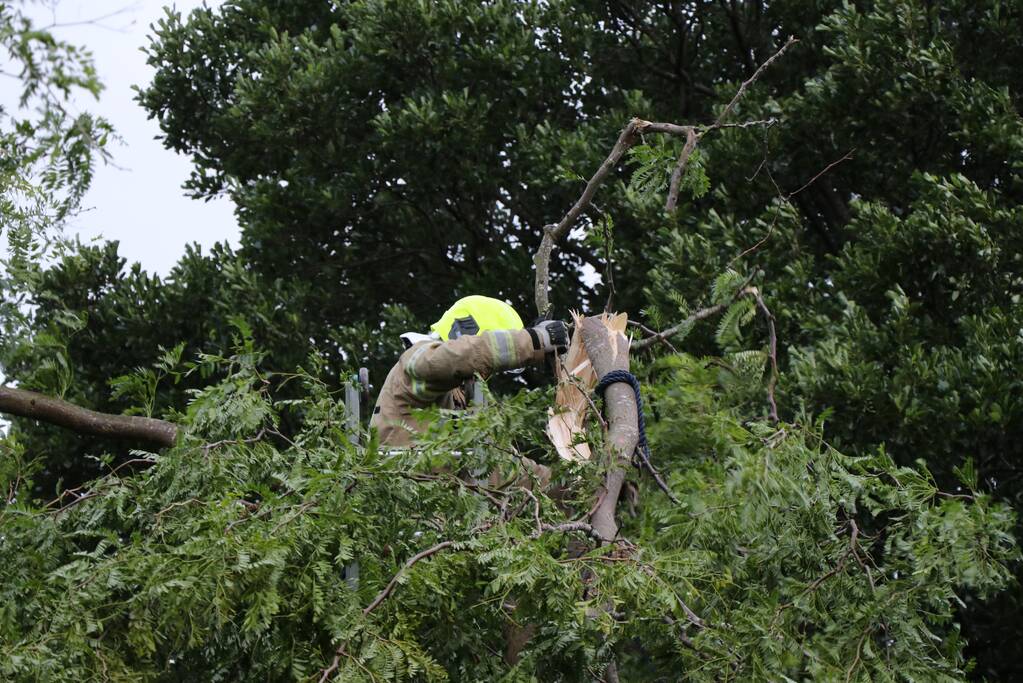 Meerdere gevaarlijk hangende takken verwijderd