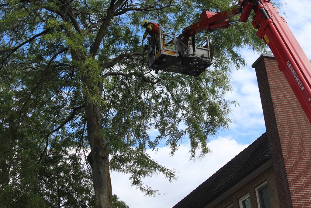 Levensgevaarlijk tak verwijdert met hoogwerker