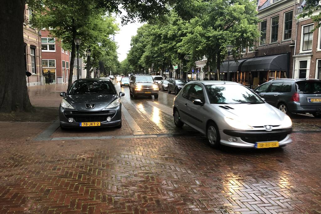 Demonstranten trekken door de stad