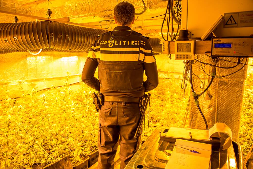 Wietplantage aangetroffen bij woningbrand