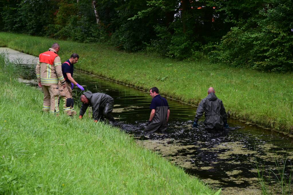 Brandweer doorzoekt sloot na aantreffen kinderfiets