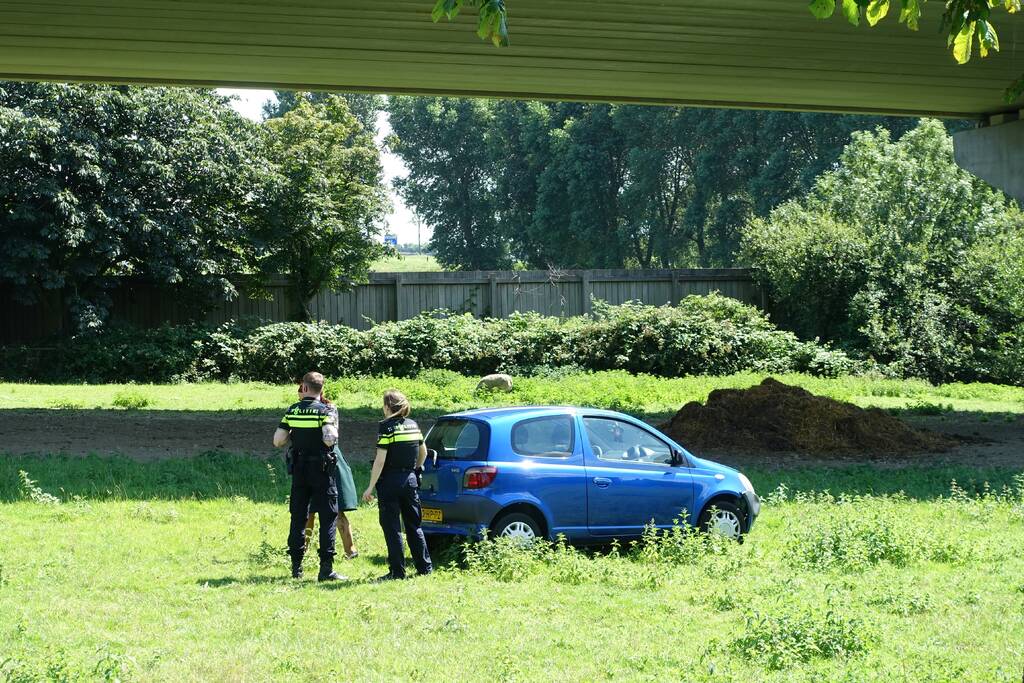 Auto raakt van de weg en belandt in weiland