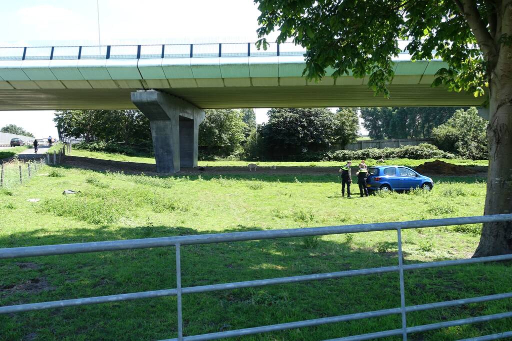 Auto raakt van de weg en belandt in weiland