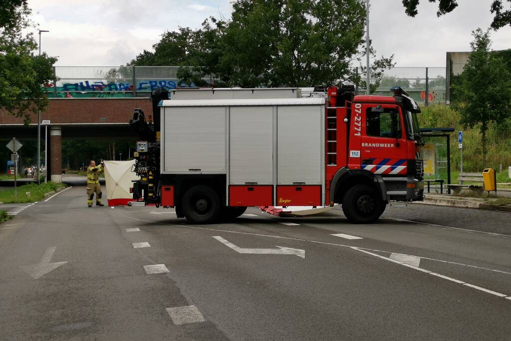 Loslopend paard aangereden door vrachtwagen