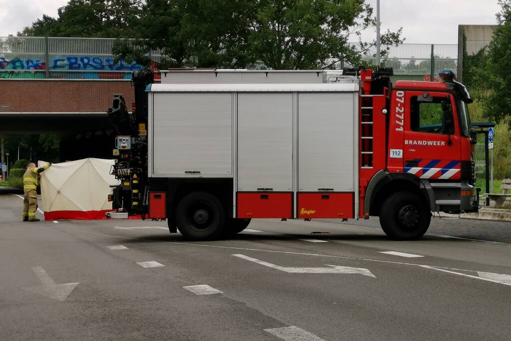 Loslopend paard aangereden door vrachtwagen
