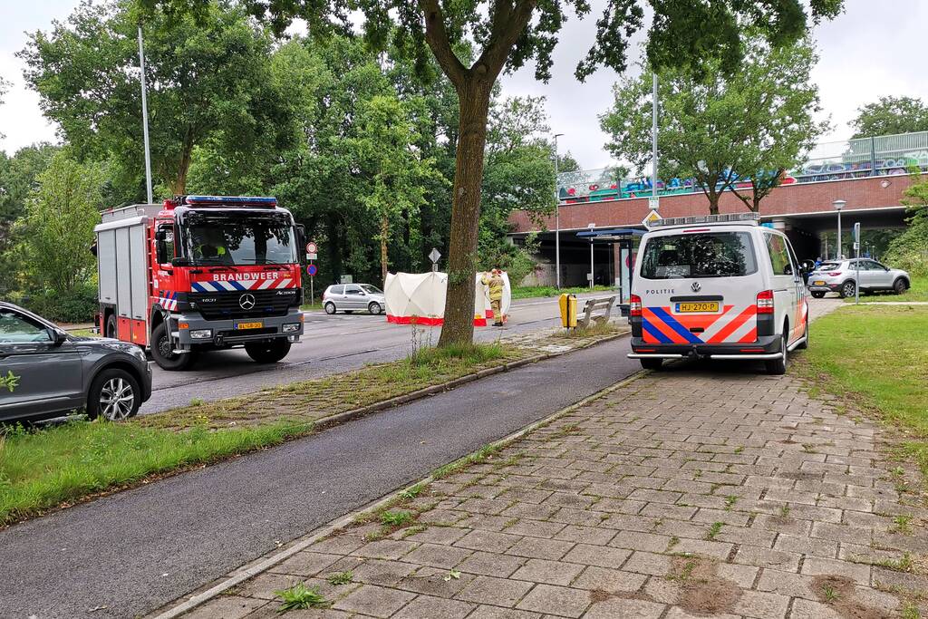 Loslopend paard aangereden door vrachtwagen