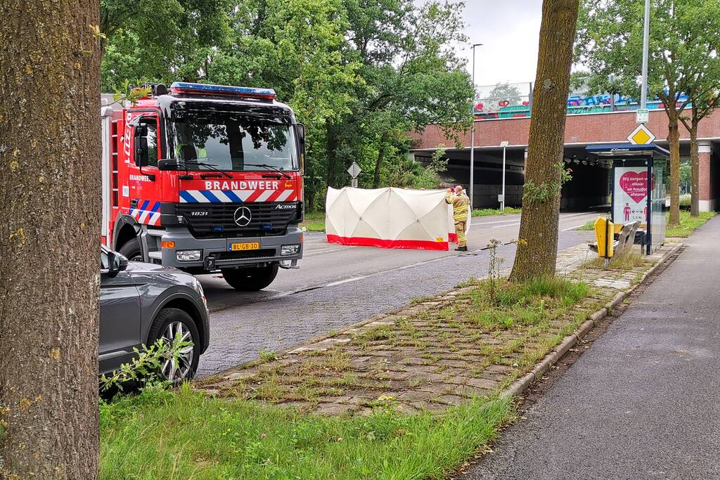 Loslopend paard aangereden door vrachtwagen