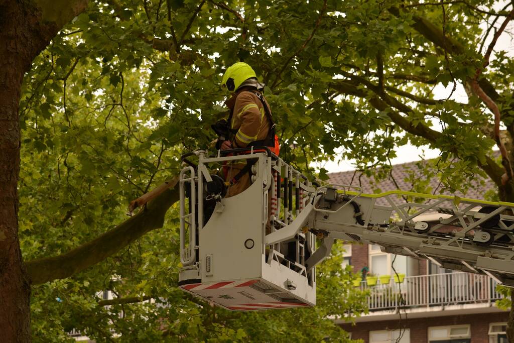 Gevaarlijke hangende takken verwijderd boven marktkraam