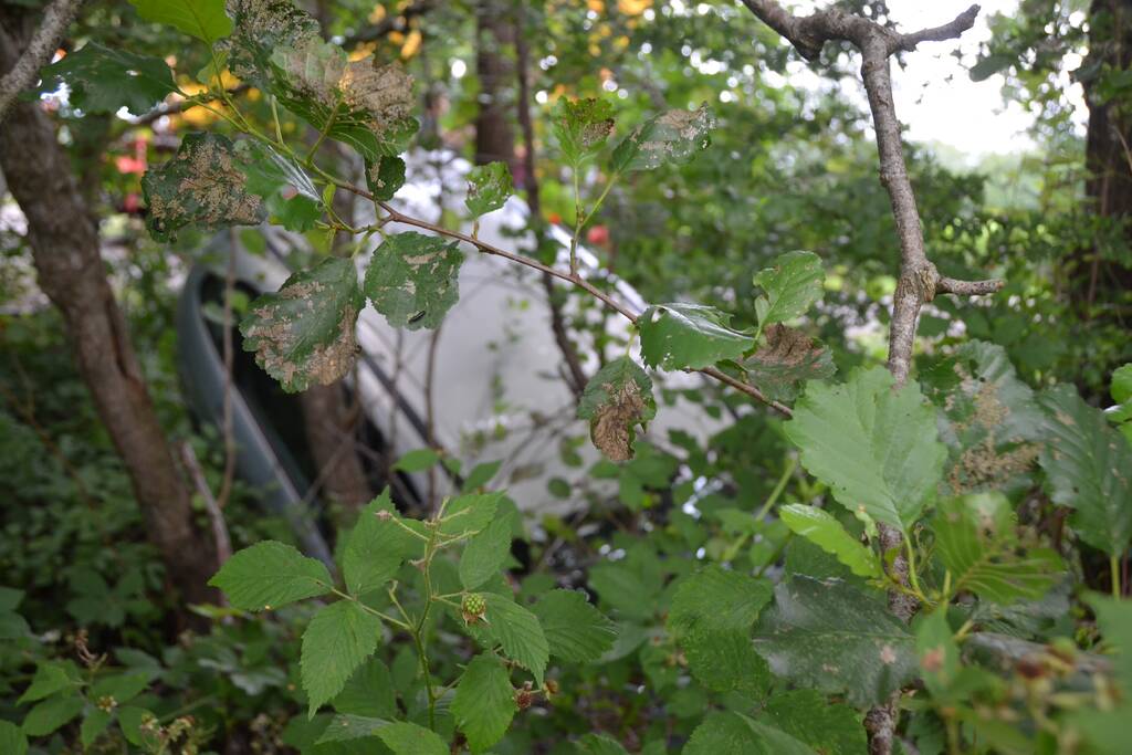 Auto belandt in sloot na botsing met aanhanger