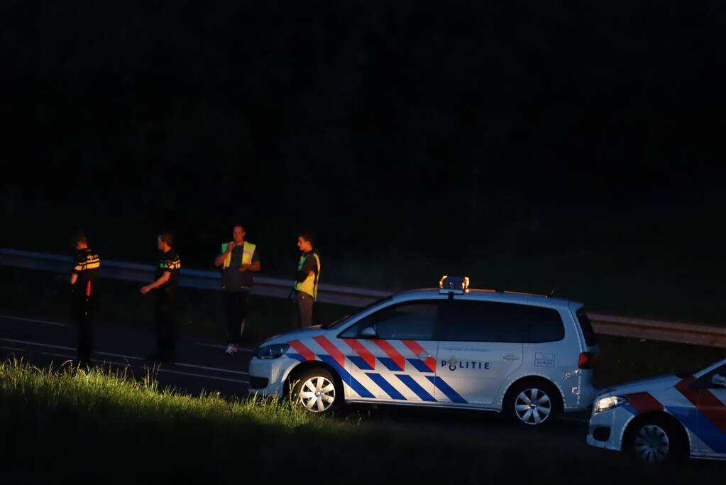 Bestelbus vliegt over de vangrail belandt in riet