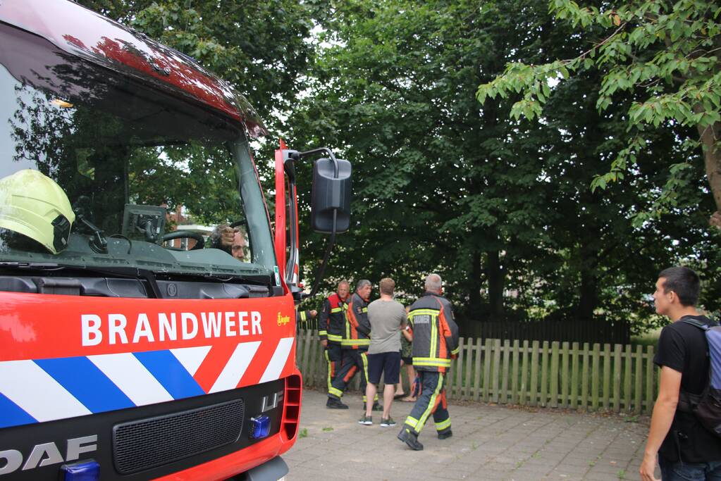 Brandweer bevrijdt meisje uit hoge boom