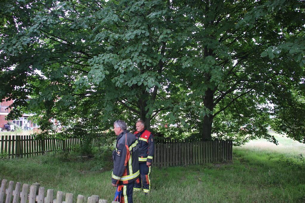 Brandweer bevrijdt meisje uit hoge boom