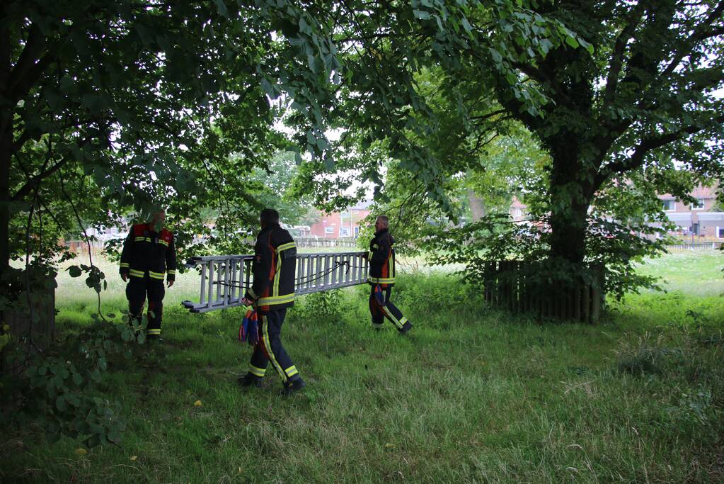 Brandweer bevrijdt meisje uit hoge boom